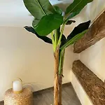 Le Bali By