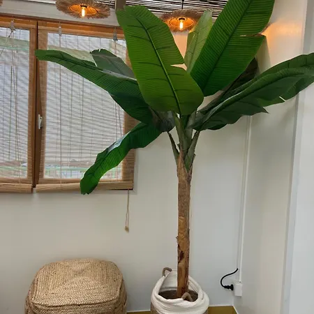 Le Bali By Perpignan